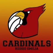 VOLLEY CARDINALS