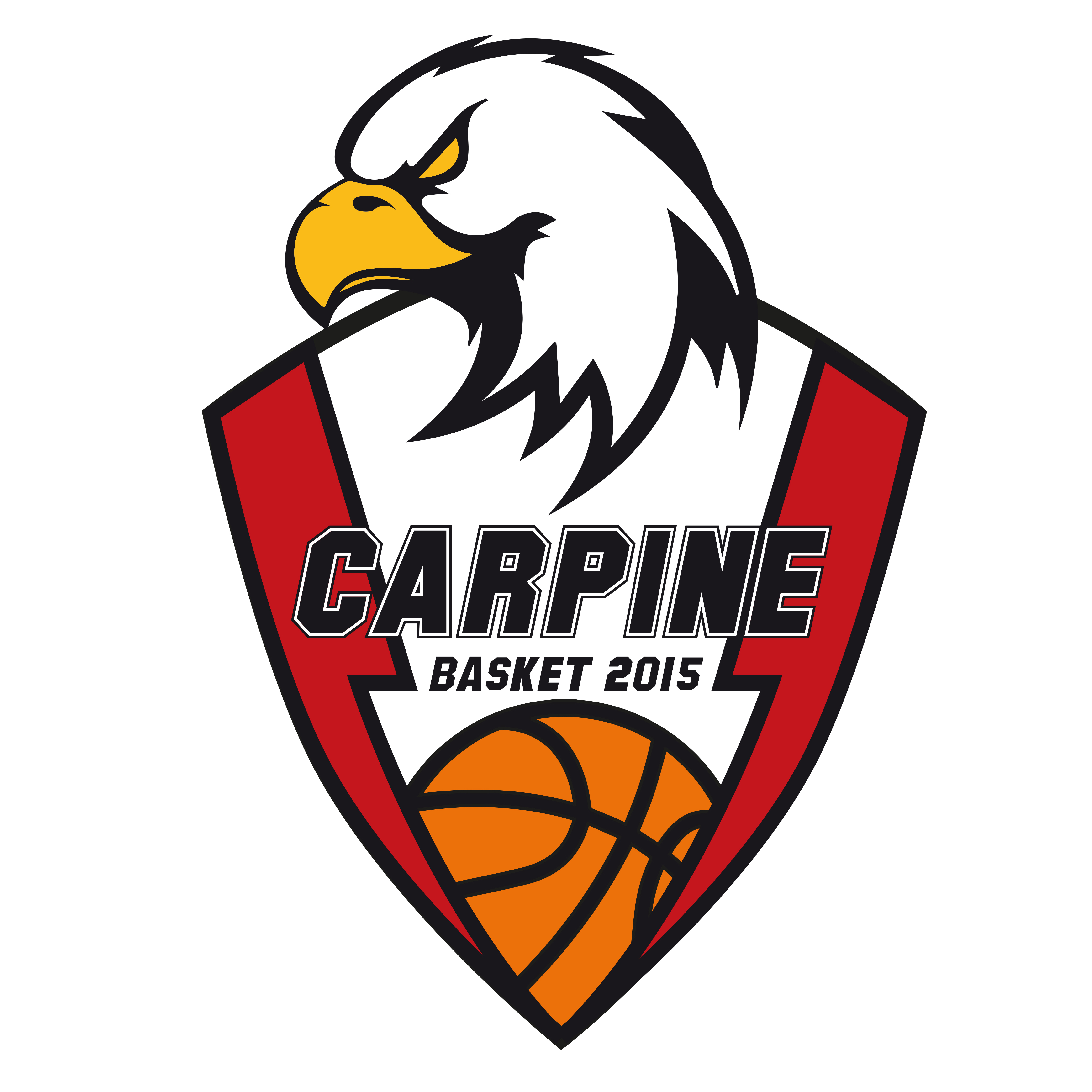 CARPINE BASKET 2015